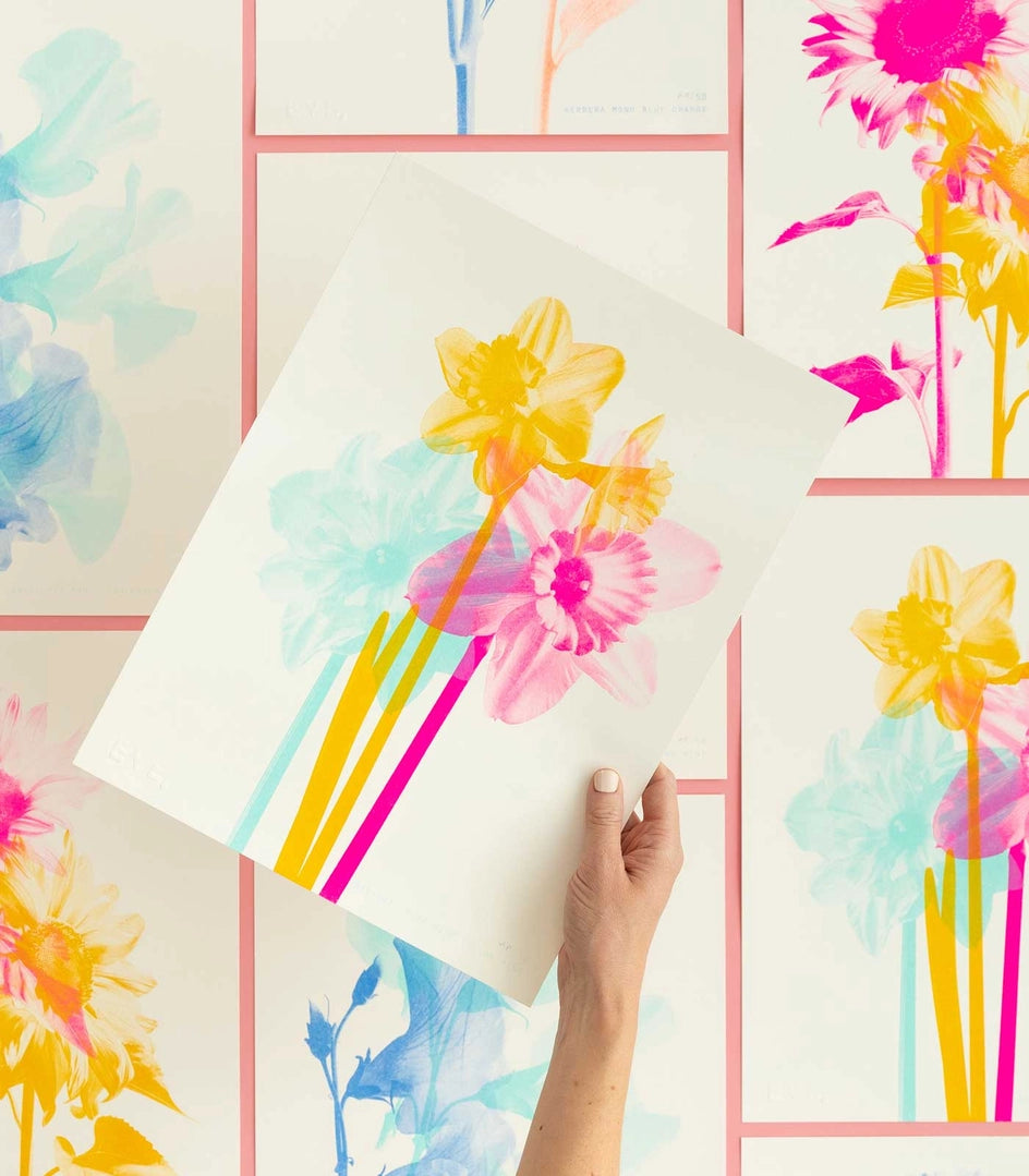 Daffodil Mono Fluoro Pink + Sunflower Yellow + Mint Risograph Print