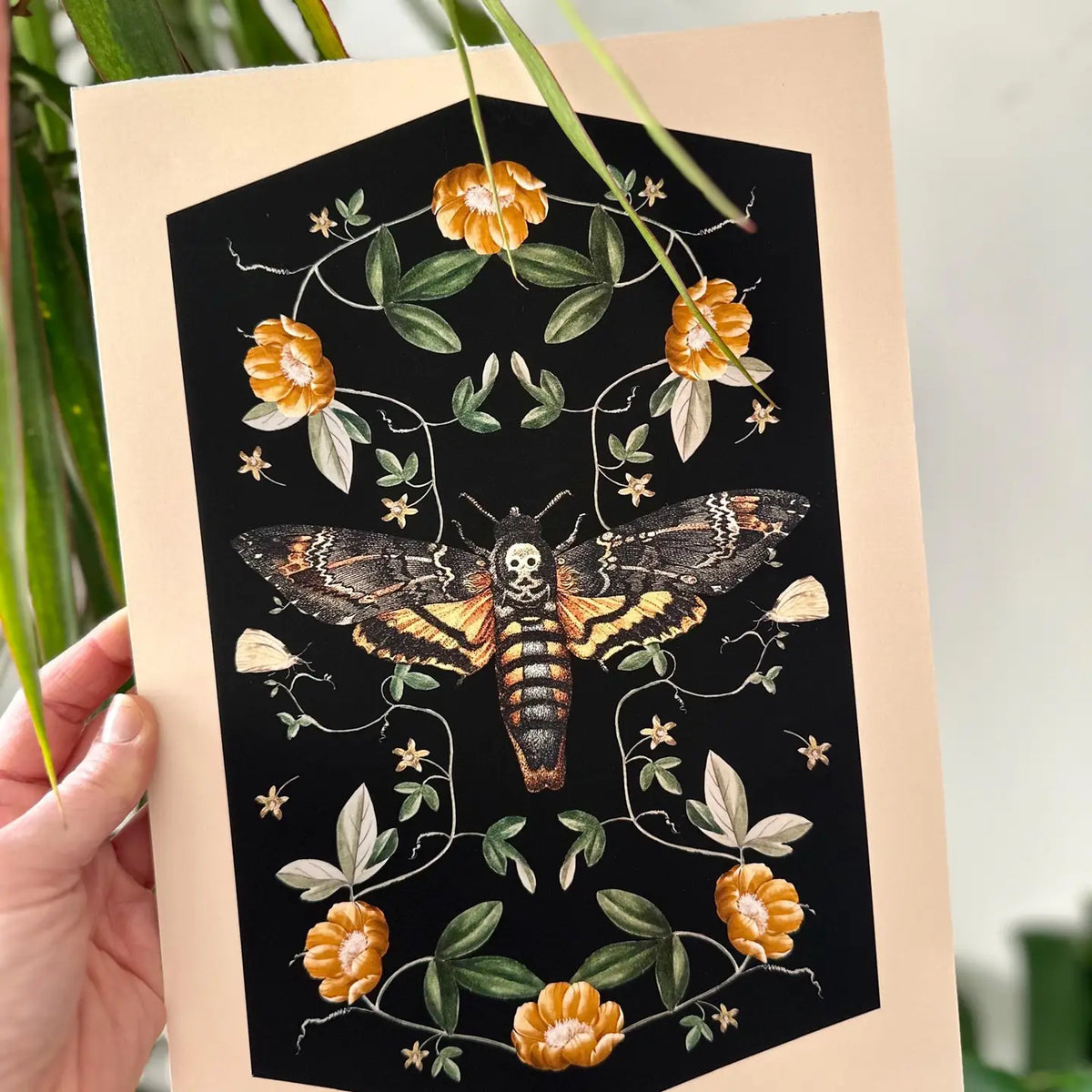 Deaths Head Hawk Moth, Floral Watercolour Fine Art