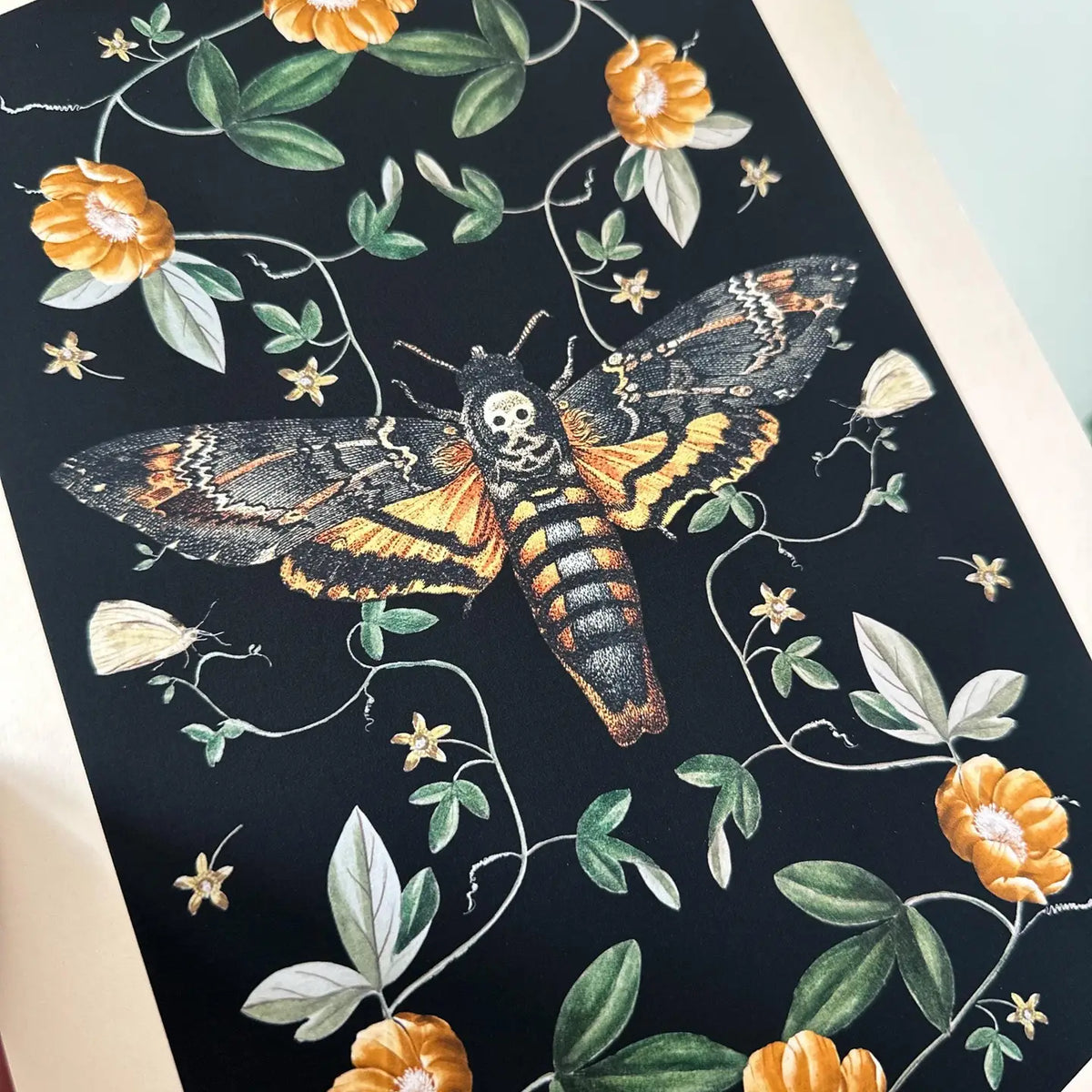 Deaths Head Hawk Moth, Floral Watercolour Fine Art